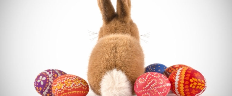 A back of a fluffy bunny and a few colorful hand painted Easter eggs around it