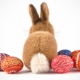 A back of a fluffy bunny and a few colorful hand painted Easter eggs around it