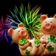 Two pink piglets holding four-leaf clovers that bring luck according to the superstition