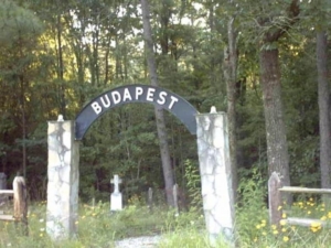 A Hungarian cemetery of the immigrants in Georgia, US