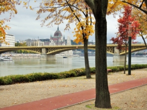 This is how beautiful the Hungarian Parliament building looks like in autumn from the nearby Margaret Island