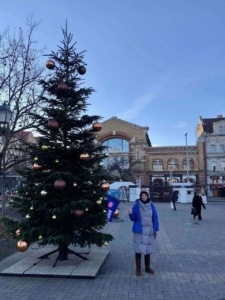 Large Christmas Tree on the meeting point of our Free Buda Castle Tour with tour guide in our blue uniform