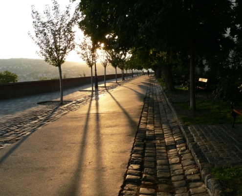 balint-miko-sL0wA0jjDsI-unsplash - Budapest autumn colors