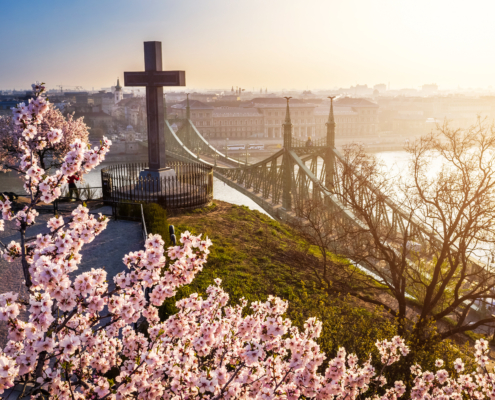 Budapest proposal ideas