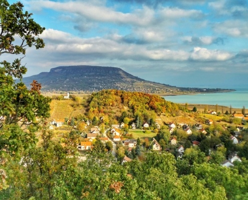 Hungarian Wine Guide