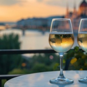 Hungarian Wine Guide