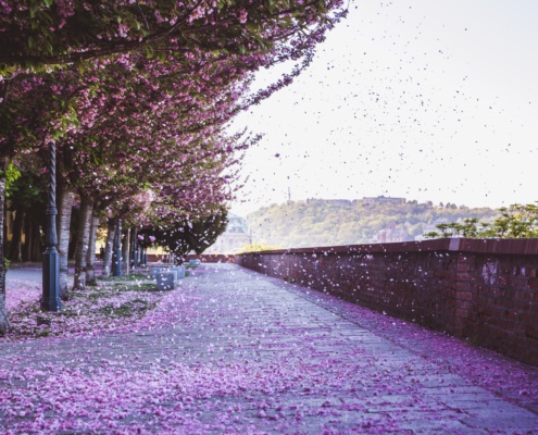 Budapest Easter events 2026 